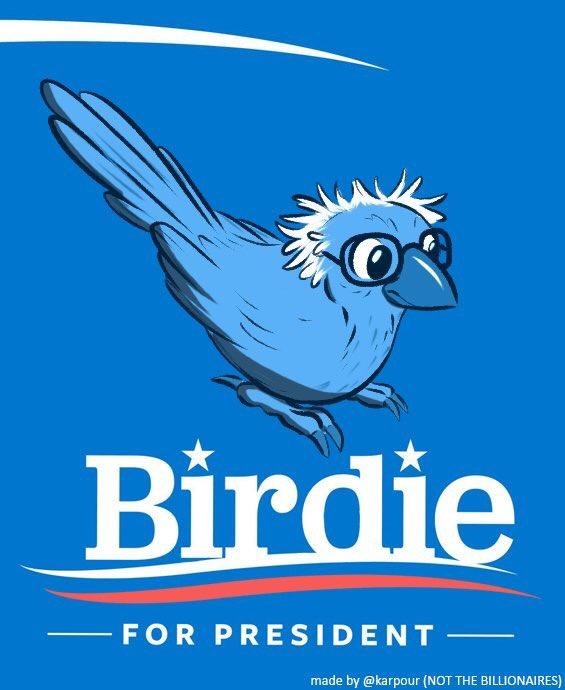 Image of Bernie Sanders depicted as bird.