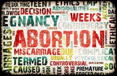 Essay on pro choice abortion