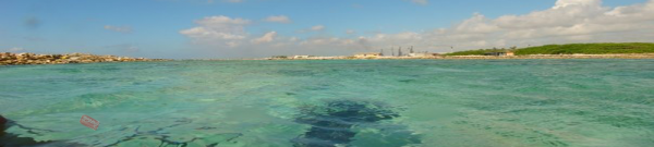 research paper on marine pollution
