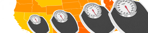 obesity in the united states essay obesity in the united states essay