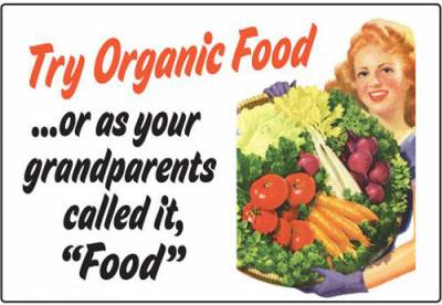 Organic food essay conclusion
