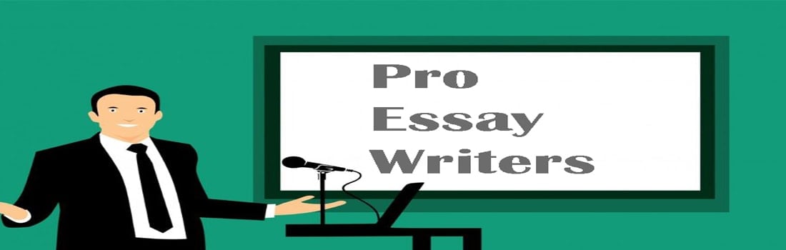 Pro essay writers