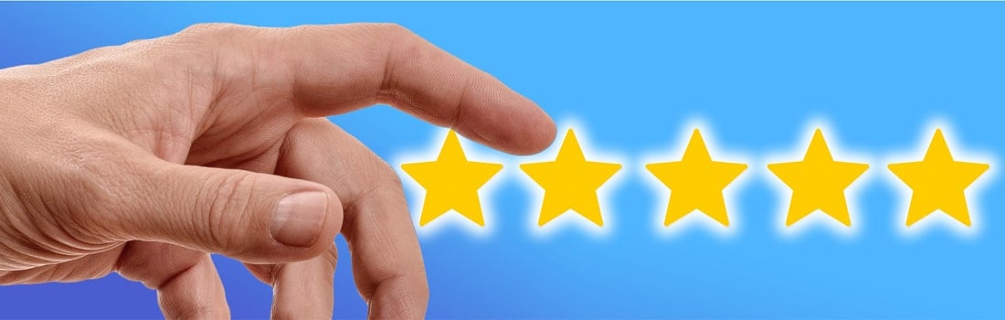 5 star writing service review