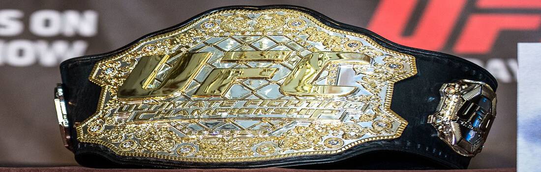 Ufc partnerships picture