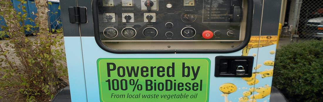 Research Paper on Biodiesel - Post banner
