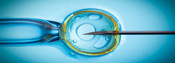 In vitro fertilization biotechnology picture