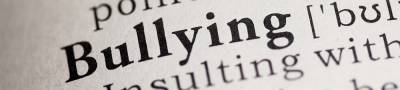 proposal essay on cyber bullying proposal essay on cyber bullying