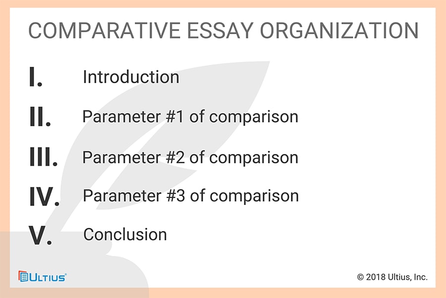 comparison essay organization