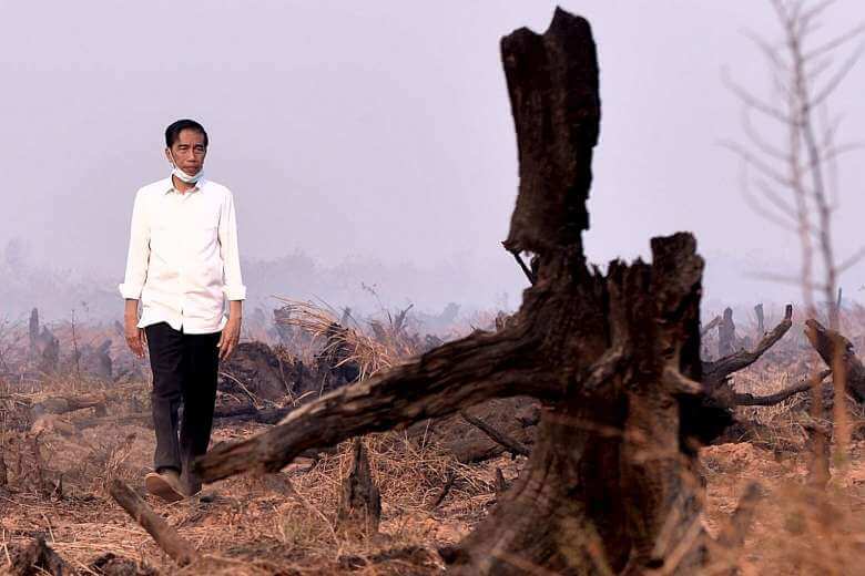 Indonesian President Joko Widodo surveys the damage from a fire in this 2015 photograph by Reuters via The Straits Times.