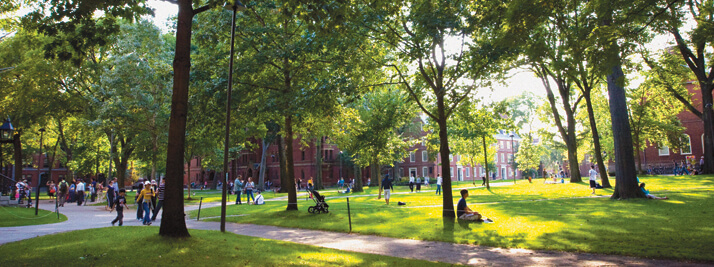 Harvard Yard - Alumni.Harvard.edu