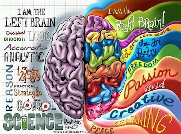 Left brain functionality vs. right brain functionality - Huffington Post