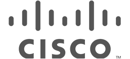 Cisco VPN protects our server with an added layer of authentication Cisco VPN | Ultius security vendor