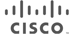 Cisco VNP