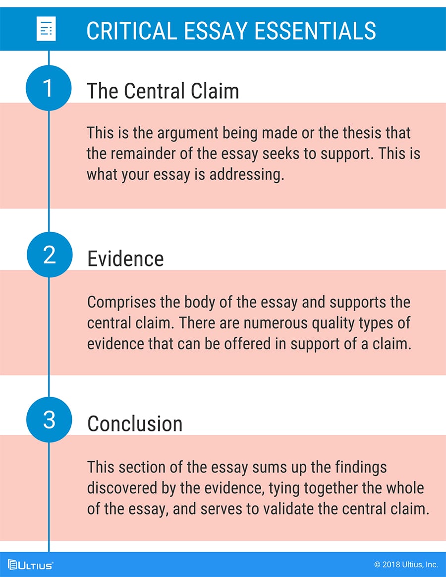 what does critical essay mean in literature